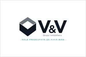 https://vyv.pe/