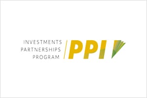 www.ppi.gov.br