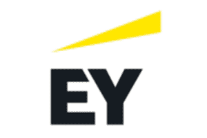https://www.ey.com/pe/es/home