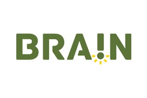 http://www.letsbrain.com.br