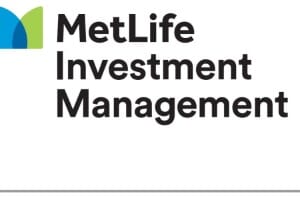 https://investments.metlife.com/