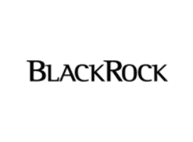 https://www.blackrock.com/mx/home