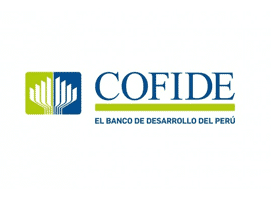 http://www.cofide.com.pe