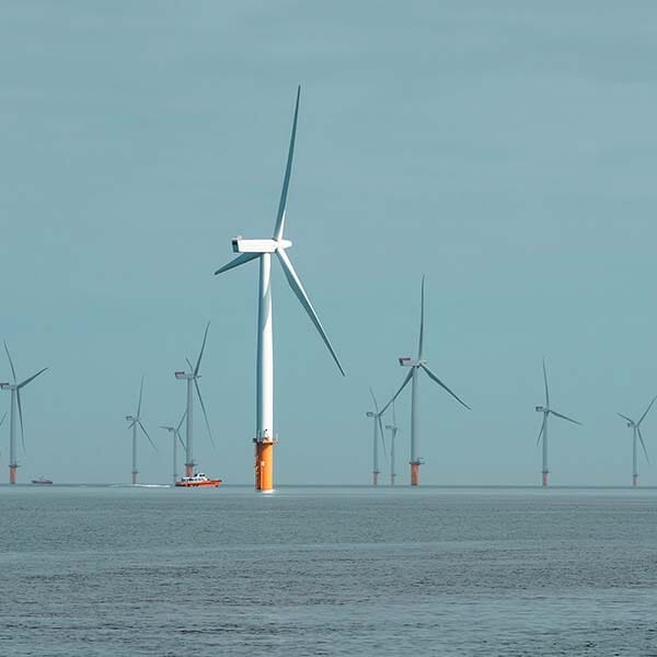 Energia eólica offshore é assunto de debate entre players do setor